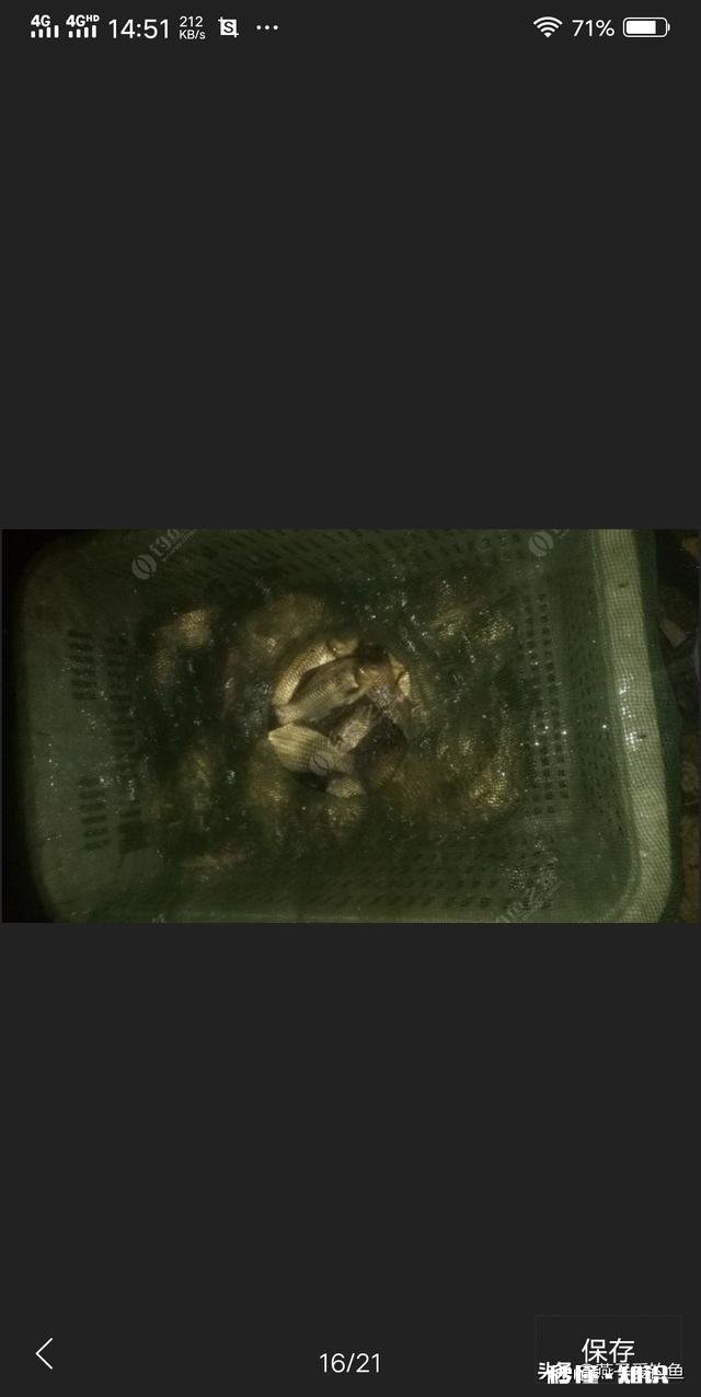 夏天夜钓是钓深还是钓浅