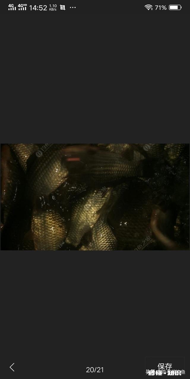 夏天夜钓是钓深还是钓浅