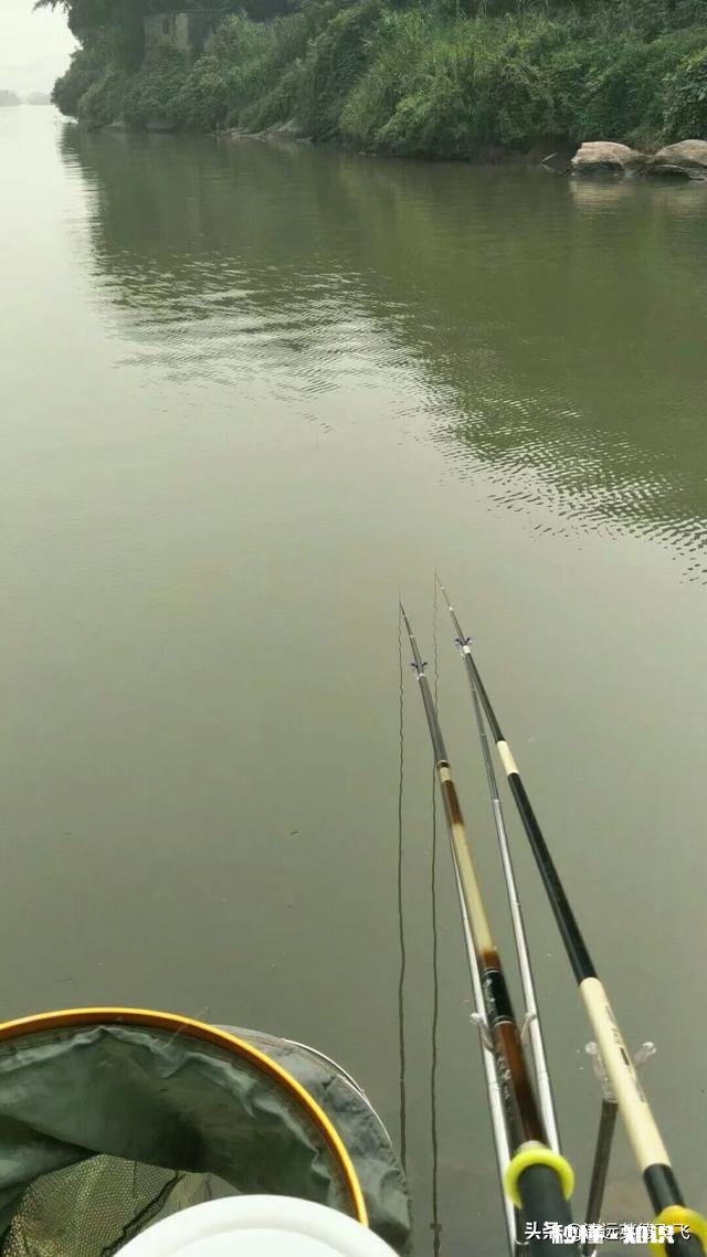 夏天夜钓是钓深还是钓浅