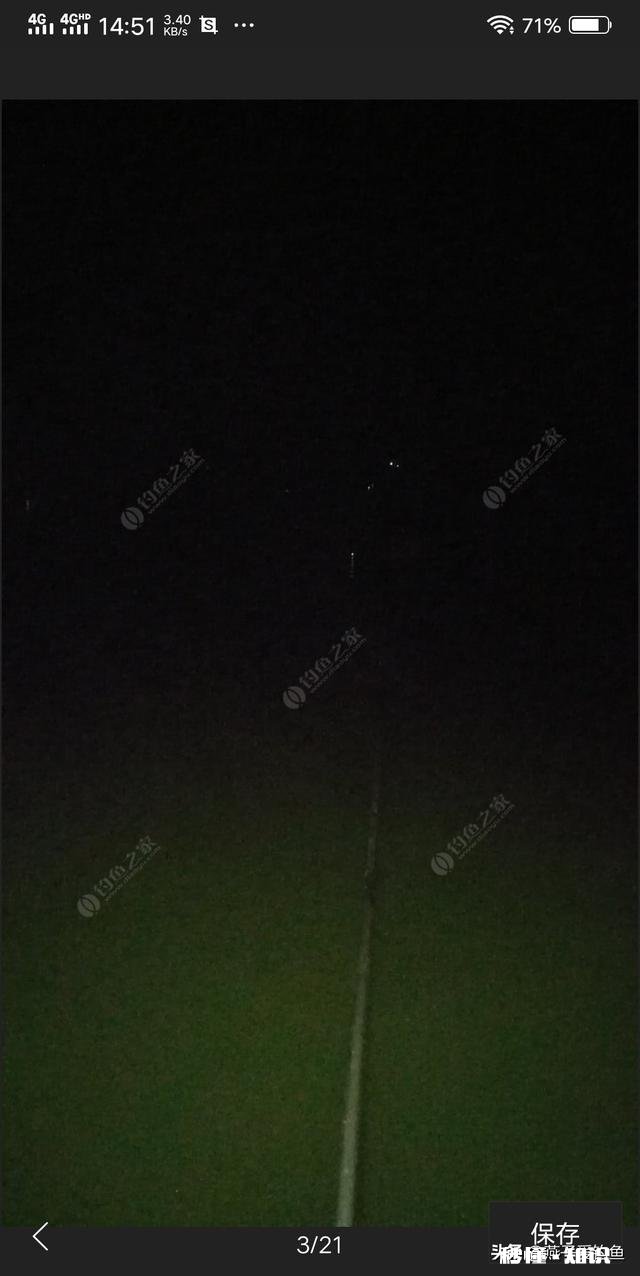 夏天夜钓是钓深还是钓浅