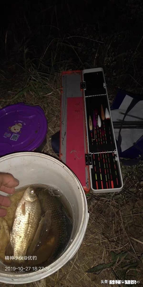 夏天夜钓是钓深还是钓浅