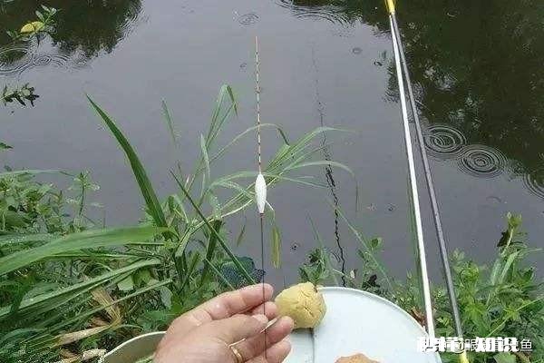 钓鲫鱼主线2.0会影响中鱼吗