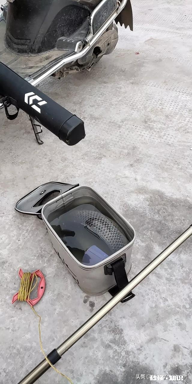 钓鲫鱼主线2.0会影响中鱼吗