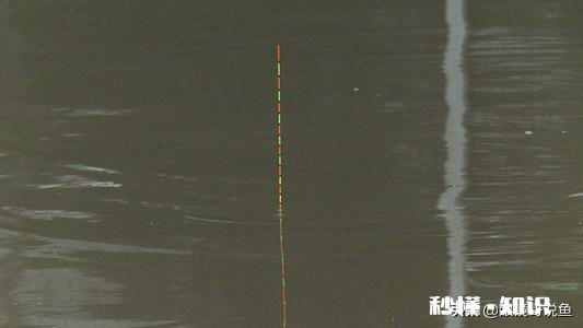 钓鲫鱼主线2.0会影响中鱼吗
