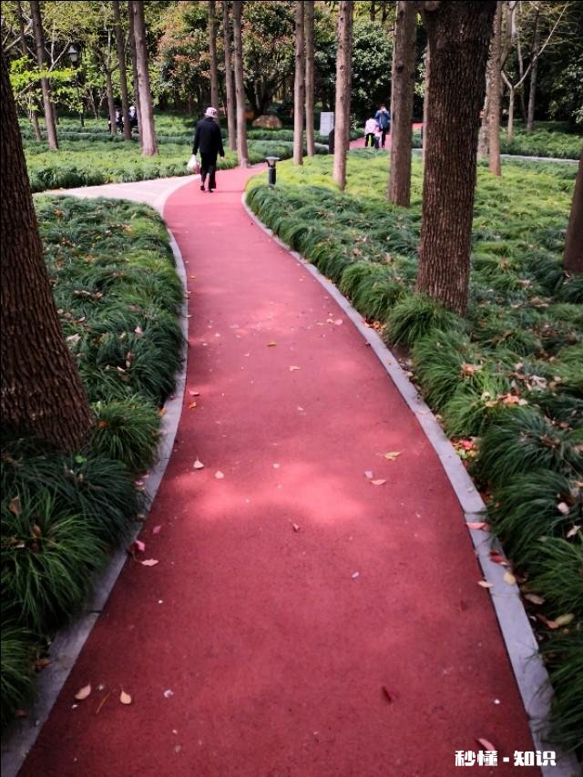 对一个什么都等着坐享其成的男人，你们怎么办。离婚他也不愿意