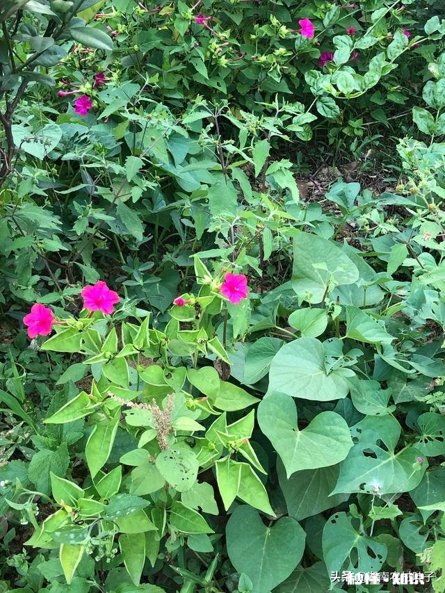 舒适普通的工作,让人的思维变得固化,能做点什么