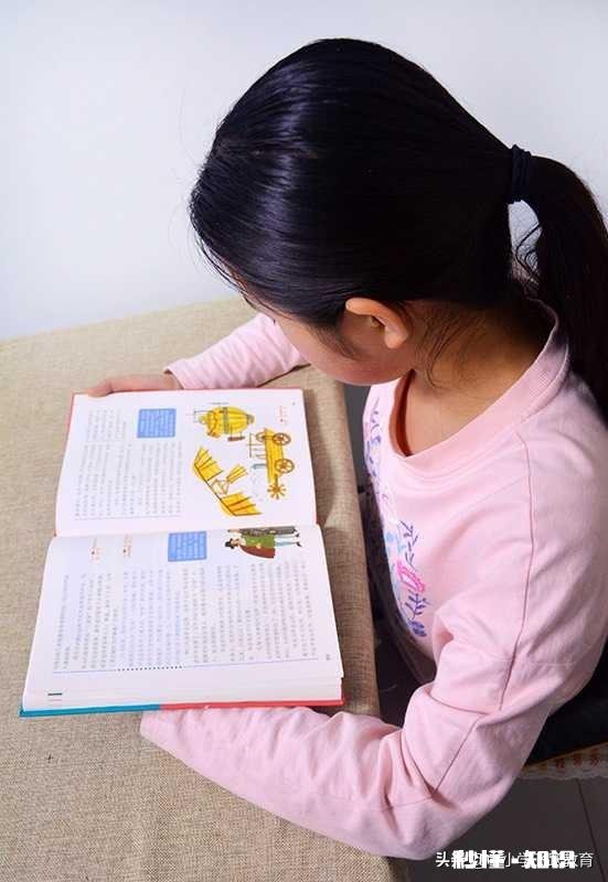 幼小衔接是否应该学习文化课