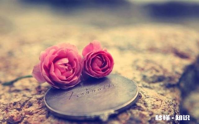 因为积累的怨气老婆铁了心要离婚怎么挽回