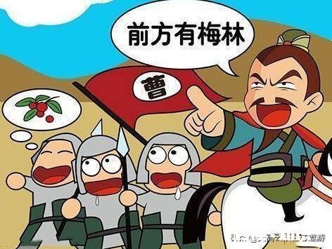烈日下行军时曹军口渴难耐,曹操给他的军队吃什么水果止渴的这种水果现代非常流行