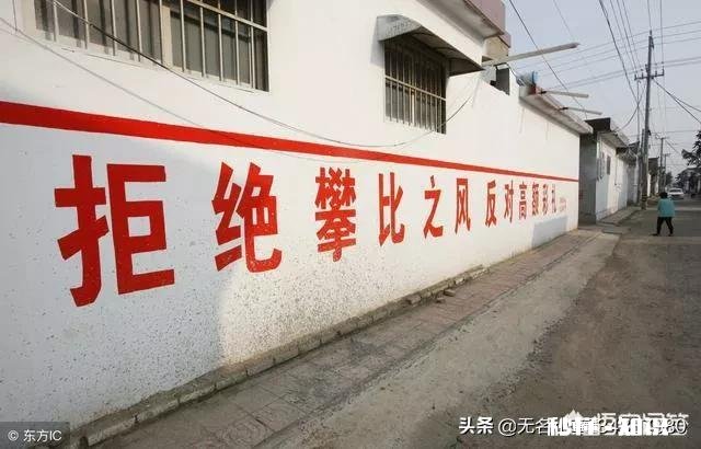 农村彩礼说的万紫千红一片绿是多少啊