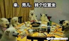 第五人格中约瑟夫为什么要带通缉