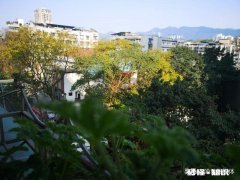 你觉得信息传播的本质是什么怎么形成的社会热点