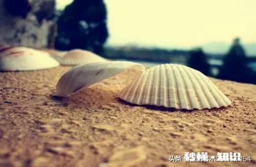 大家来聊聊:人的心会老吗