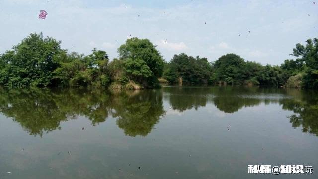 突然降工资是什么感受