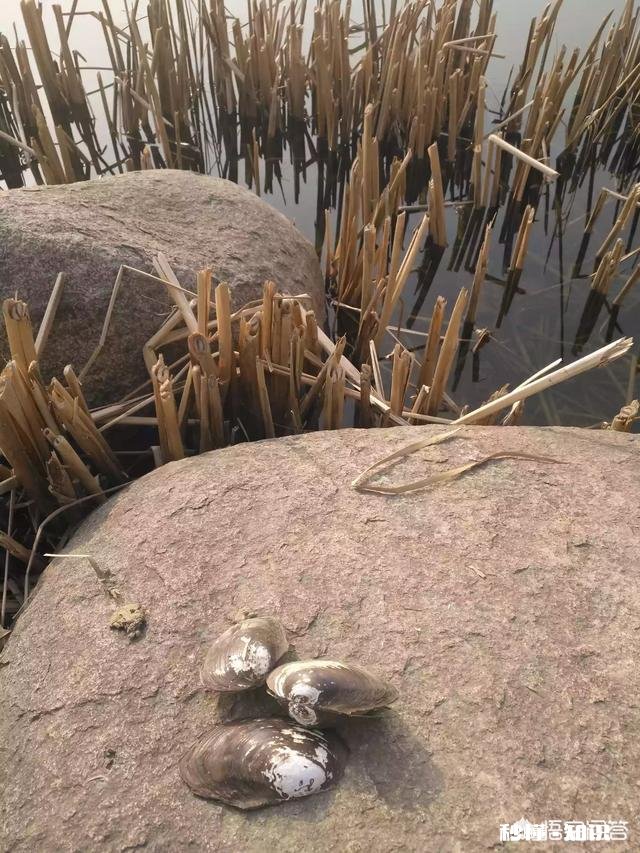 冬天适合钓鱼吗，要注意什么