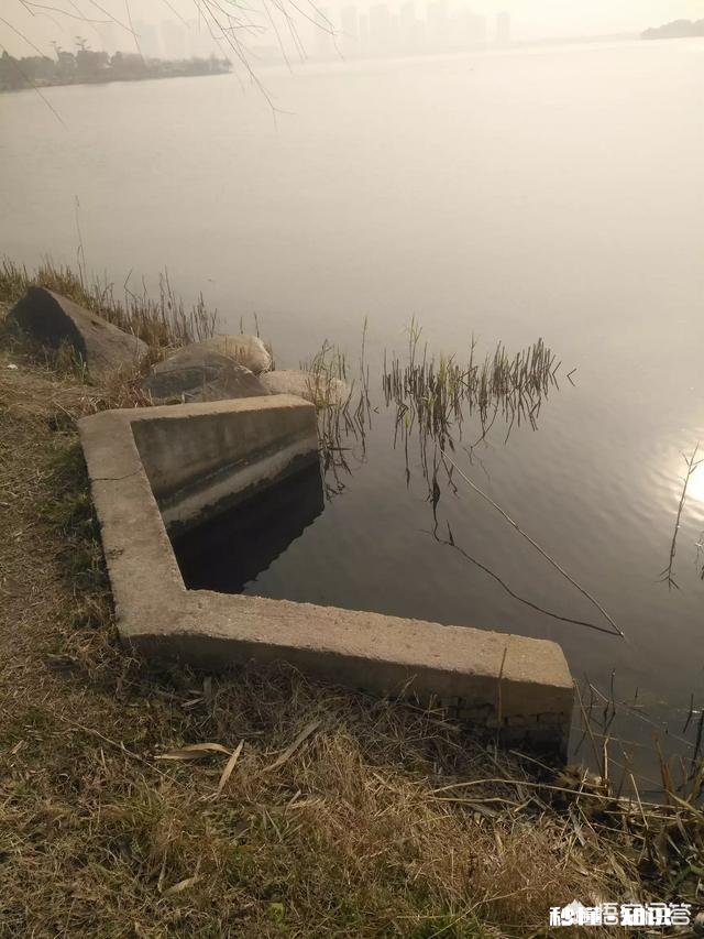 冬天适合钓鱼吗，要注意什么