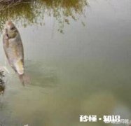 冬天适合钓鱼吗，要注意什么