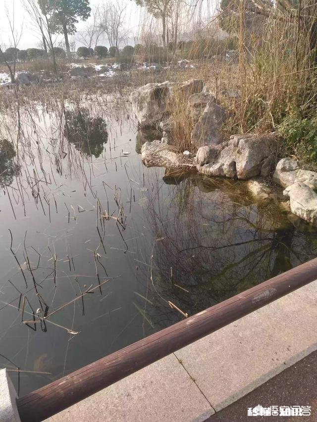 冬天适合钓鱼吗，要注意什么