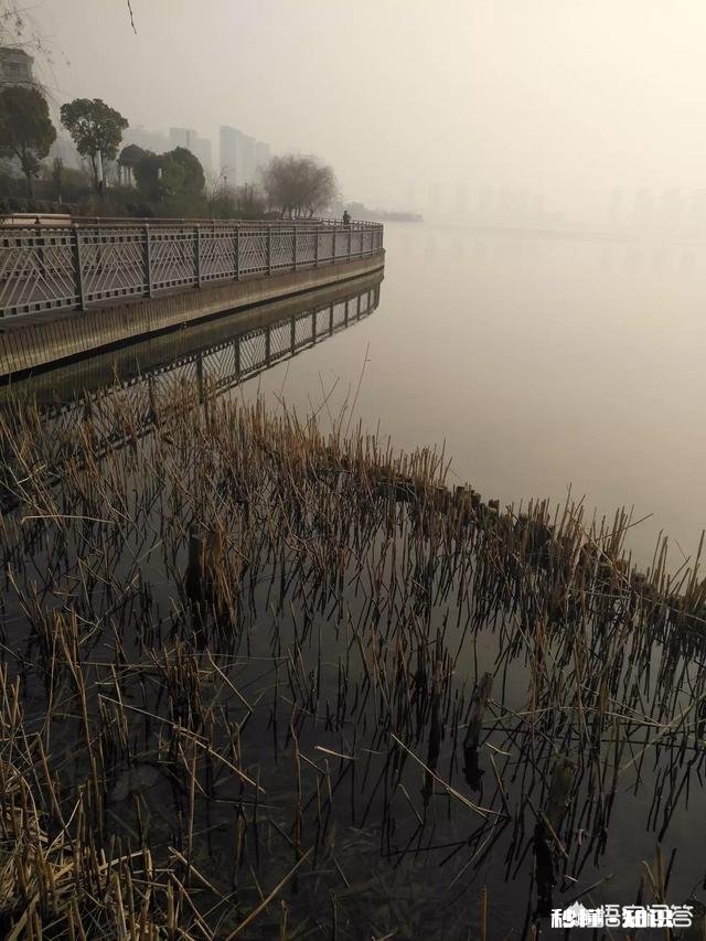 冬天适合钓鱼吗，要注意什么