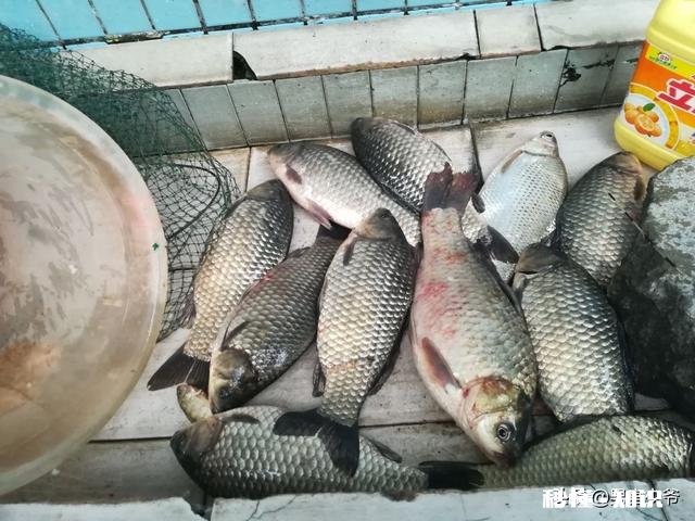 已绑好了线组、调好了漂,可以直接钓鱼吗还需要什么