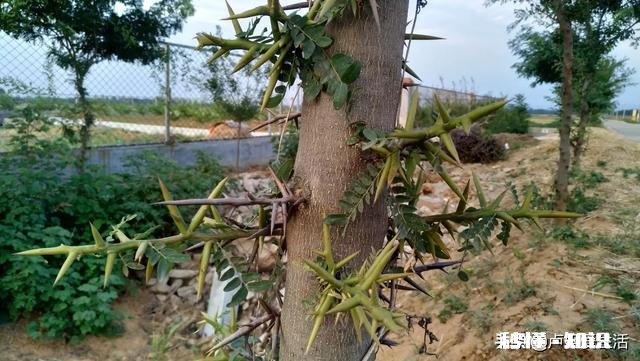 没钱到底该不该结婚没有好的物质条件很头疼