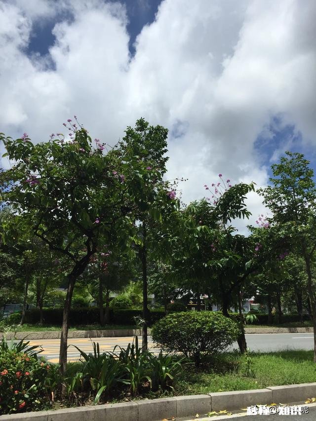 双闪灯就是危险指示灯吗