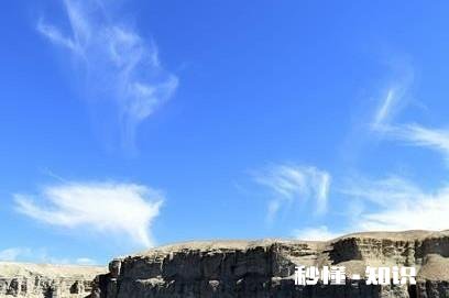 你在小孩子身上学到了什么呢