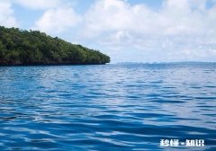 你在小孩子身上学到了什么呢