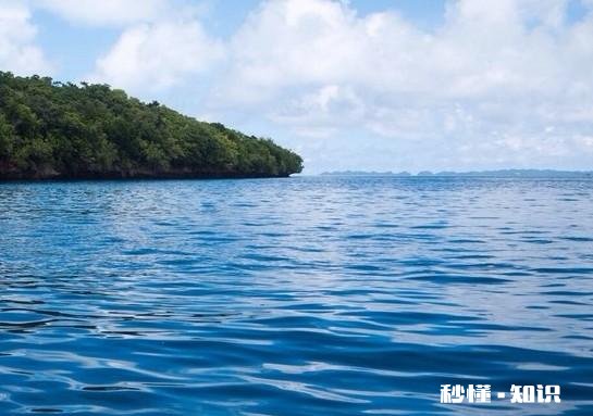 你在小孩子身上学到了什么呢