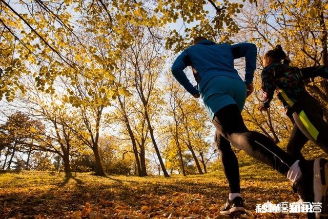 跑步30分钟，坚持多长时间能看到效果