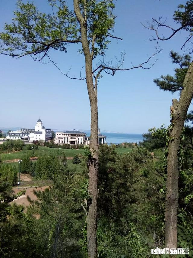 我是西部地区，假如我考了600分以上。我想去东部沿海上大学，哪个学校比较合适