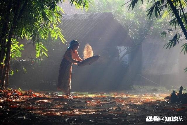 推荐10首你最爱的诗词