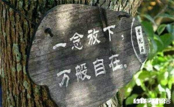 在爱情里,怎么才叫放下