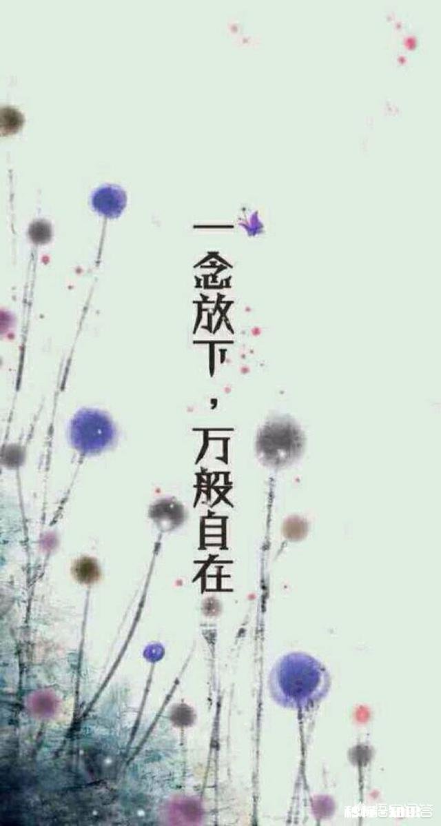 在爱情里,怎么才叫放下