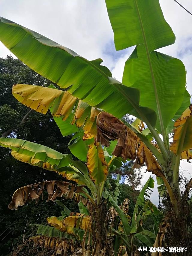 工作月薪4300不包吃住,工作内容简单但是每天都会被打击自信心和自尊心,你会选择继续做下去吗,为什么