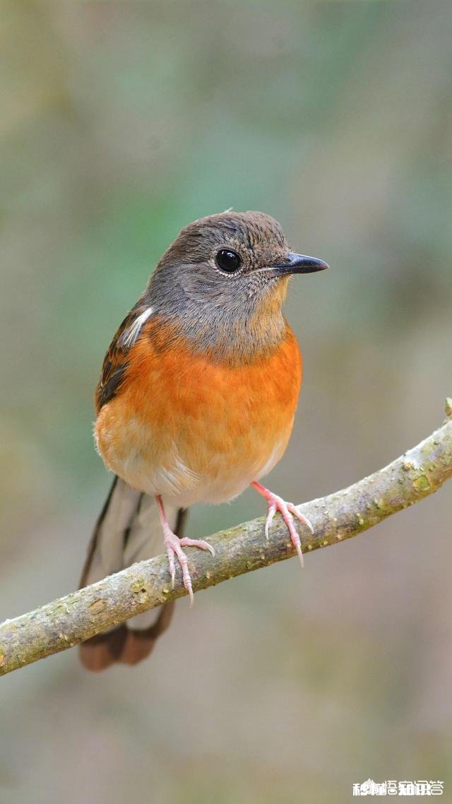 她 现在的你是否还会想起第一次牵手的他,那种一生铭记在心的感觉真的是爱情吗