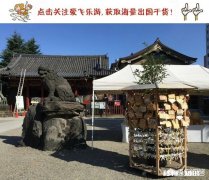 护照到期了，但是日本签证还没到期，拿着旧护照和新护照可以回到日本吗