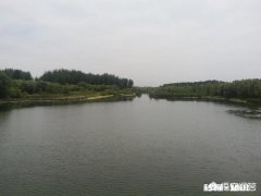 是不是中国所有的大学都开设了游泳必修课并且考核不过不能毕业