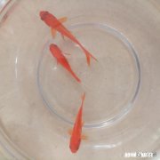 疫情期间分手，如果疫情结束以后还很思念对方，你会约对方见面吗