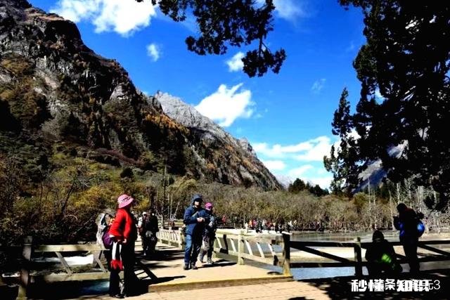 对焦对哪里好水岩石