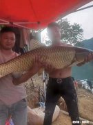 2021年济南没有适合夜钓、野钓免费的河流或湖泊，求推荐