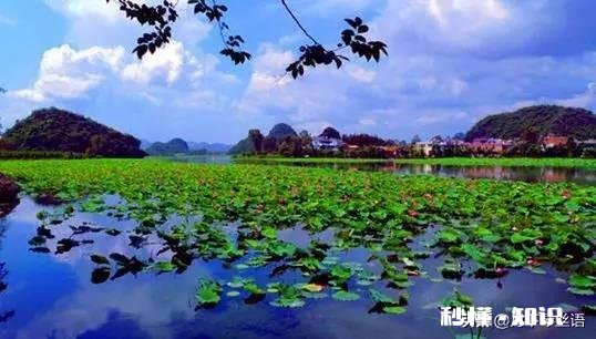 处在繁华都市的我们,如何呼吸大自然的气息,享受碧水蓝天的美