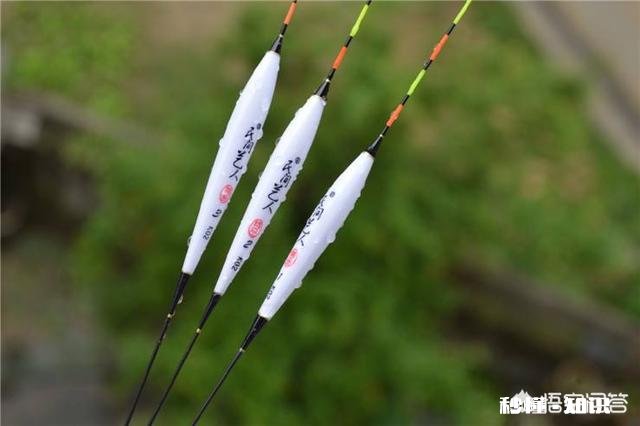 黑坑钓鱼怎样才能比别人钓的多