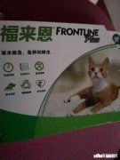 家里的宠物长跳蚤了，可以用杀虫剂喷吗