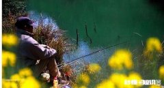 秋季是垂钓鲫鱼的好时候，如何将鲫鱼收入囊中