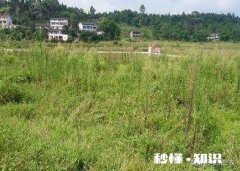 三零四零五零后是不是农村里最后一批农村人吗