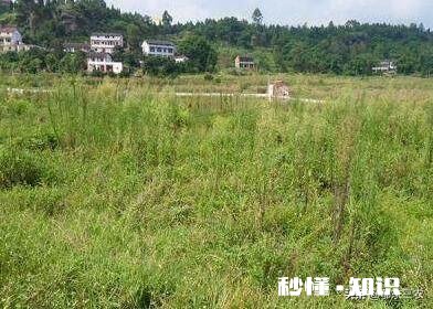 三零四零五零后是不是农村里最后一批农村人吗