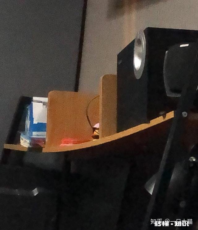 暹罗猫为什么被称作为猫中狗