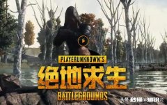 为什么《绝地求生》职业选手都会把人物渲染关闭