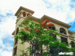 今年适合在三线城市买房吗